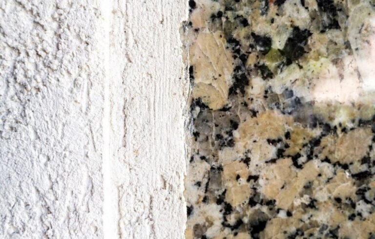 How to Identify Mold in Your Home