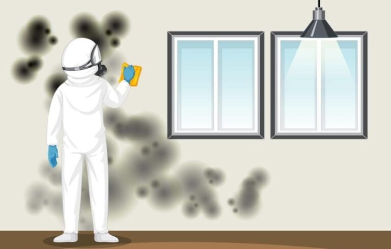 How to Properly Ventilate Your Home to Prevent Mold