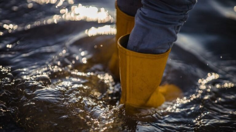 How to Identify Early Signs of Water Damage